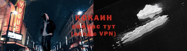 хмурый Пересвет